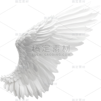 装饰通用实景单边天使翅膀元素素材