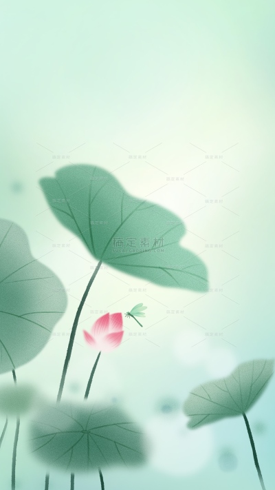 处暑-2507YFJ-肌理感荷叶荷花蜻蜓插画背景-原创套系-背景模版（分层）