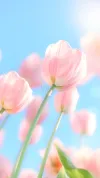 花海打卡