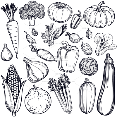 果蔬系列黑色手绘风果蔬插画线稿（td）