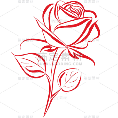 植物插画红色线条玫瑰花元素素材