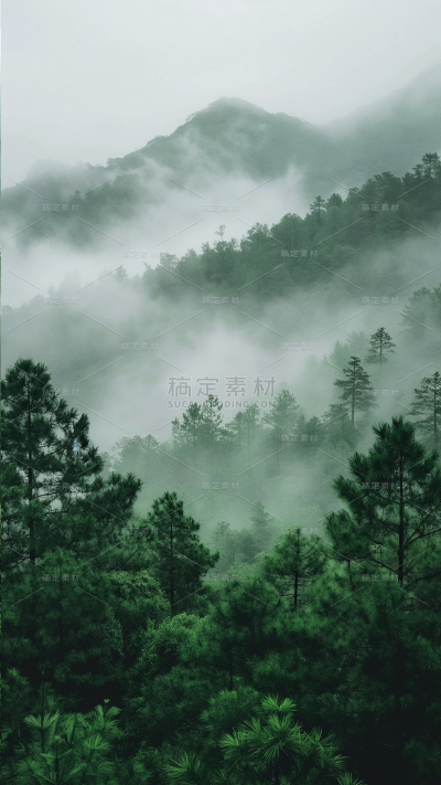 风光通用实景森林云雾背景图片素材