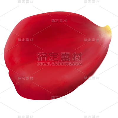 红色玫瑰花花瓣