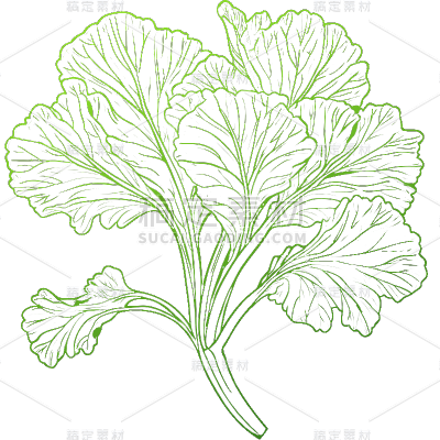 常规果蔬系列通用插画蔬菜元素素材