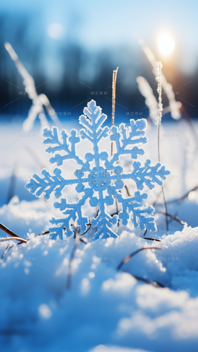 冬天冬季冬日雪景雪花特写