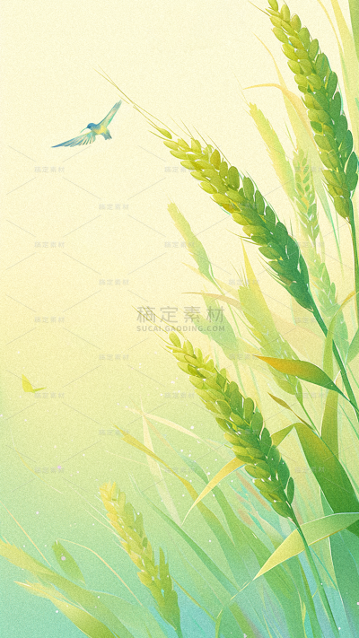 小满传统节气通用背景绿色弥散风麦穗背景