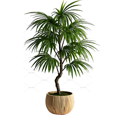 植物系列写实绿色植物盆栽元素