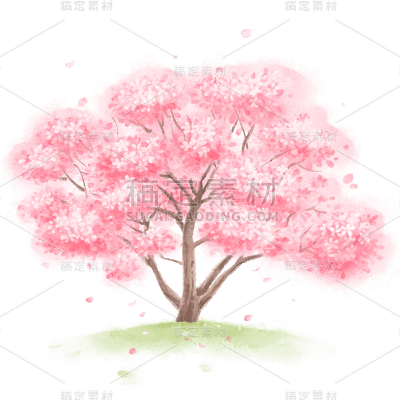 插画手绘樱花树免抠元素