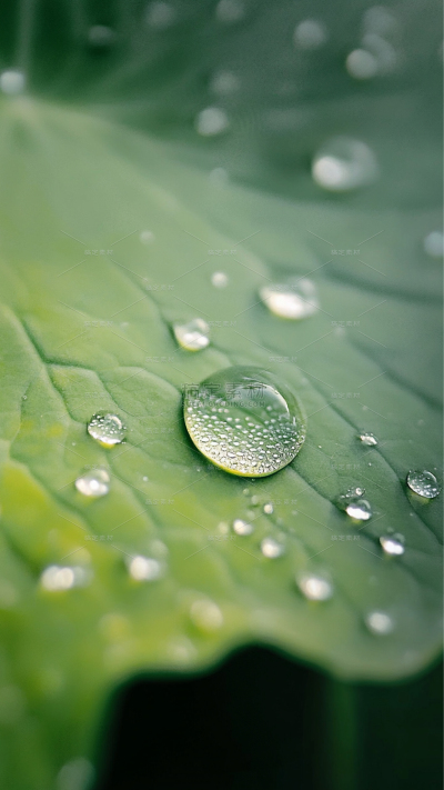雨水实景感雨天氛围场景背景