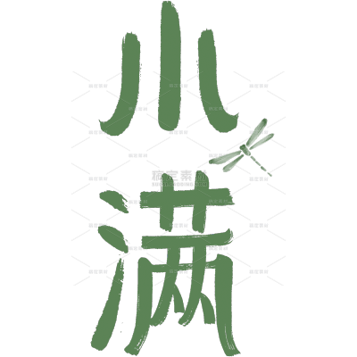 小满国风毛笔手写体蜻蜓艺术字