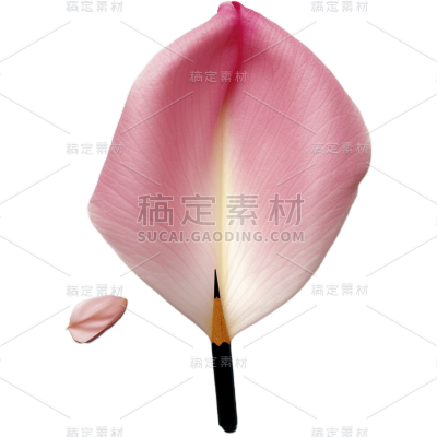 粉色花瓣25
