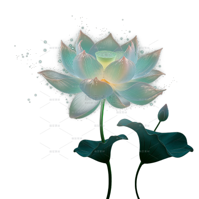 夏季节气光感创意材质荷花荷叶元素