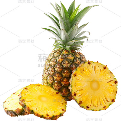 果蔬系列写实水果菠萝切片整果组合贴纸
