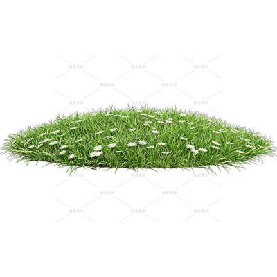植物系列写实一片草皮草坪元素