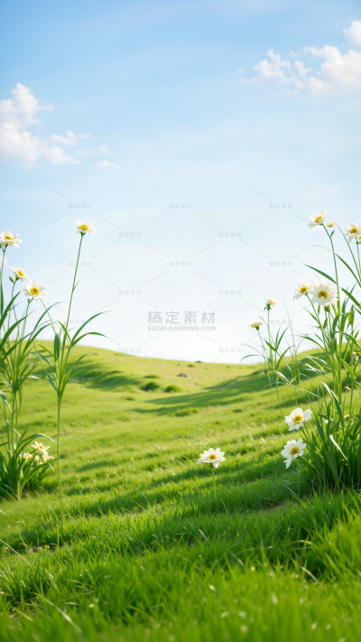 风光系列实景蓝天草地场景背景