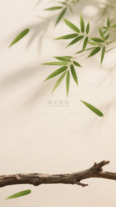 促销系列实景感木头展台礼盒背景