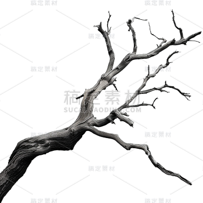 植物通用实景枯树枝元素素材