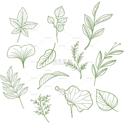 植物系列手绘风绿色树叶叶子线稿