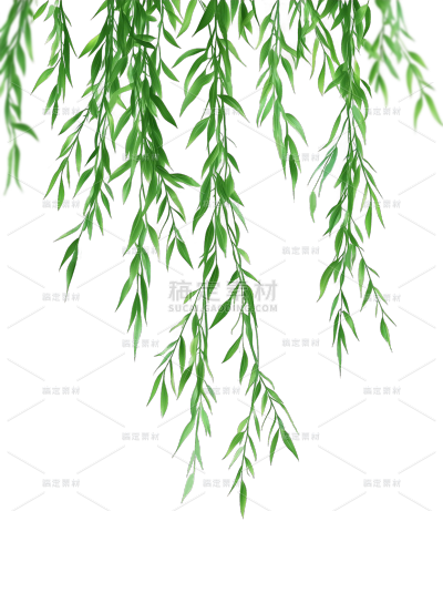 植物系列写实风垂下的柳叶元素