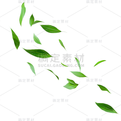 植物通用实景绿色动态落叶元素素材