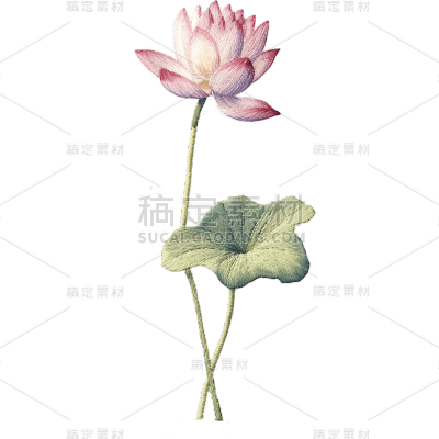 刺绣夏天夏季夏日荷花荷叶