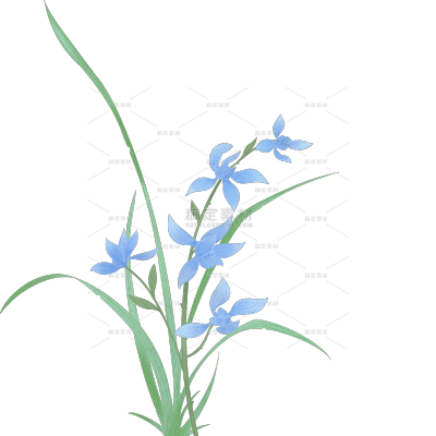植物系列插画风兰花开花元素