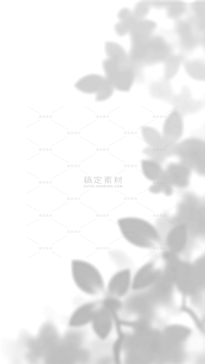 特效系列简约植物光影
