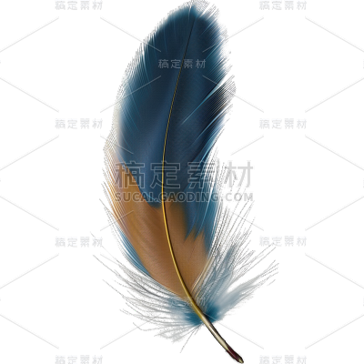 装饰通用实景动物羽毛元素素材