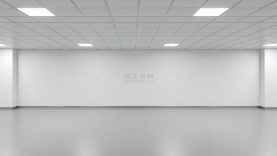 背景系列3D渲染白色室内背景（td）