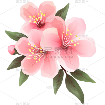 植物通用粉色插画桃花花朵元素素材