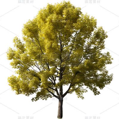 通用3D立体实景树绿色植物元素贴纸