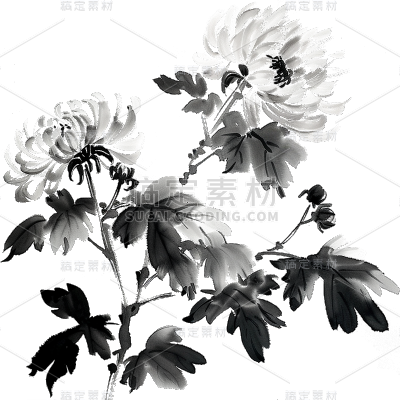 中国风通用水墨植物元素素材 