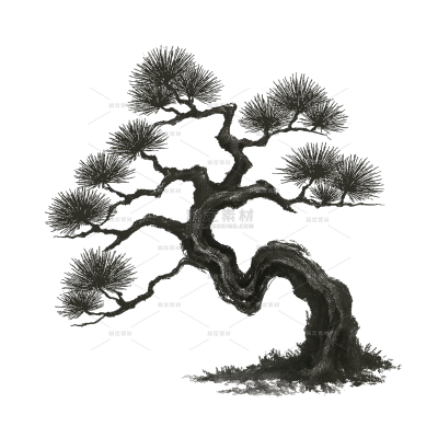 植物系列松树国风元素贴纸（td）