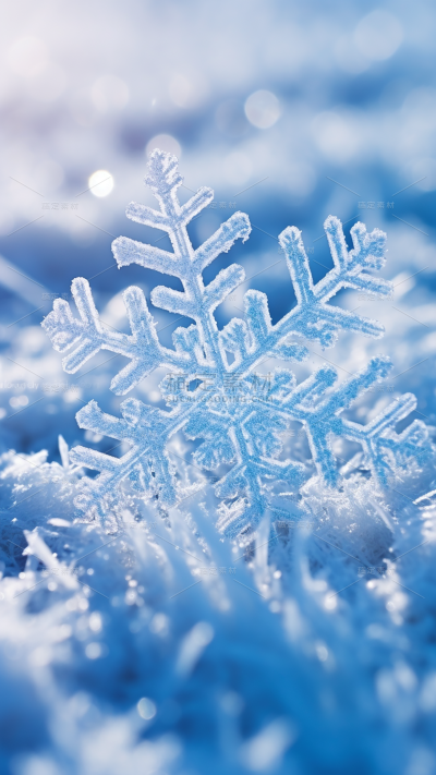 冬天冬季冬日雪景雪花特写