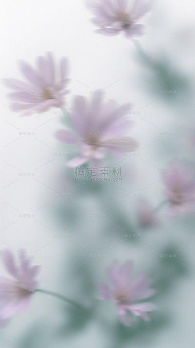 春天梦幻蒙版植物花卉背景元素素材