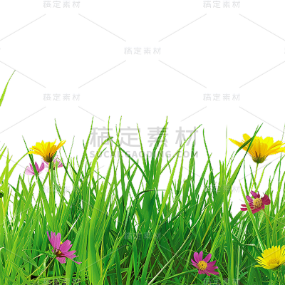 植物通用实景绿色长草地元素素材