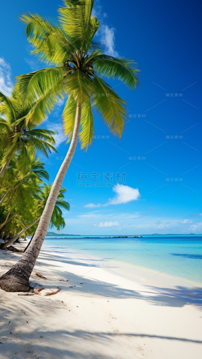 植物通用实景海边椰子树沙滩背景场景图片素材
