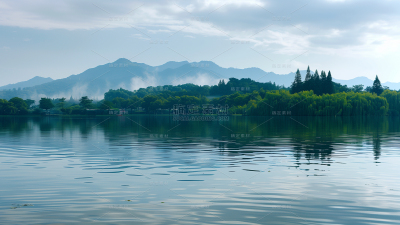 常规系列实景森林湖面通用背景素材