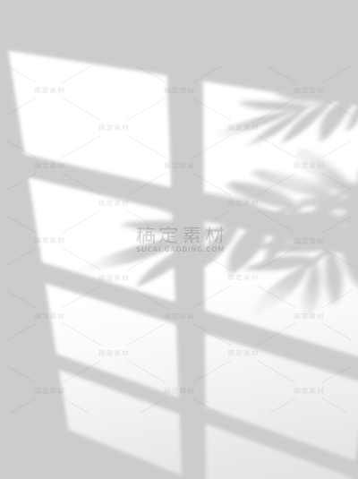 特效系列写实窗户+植物光影元素