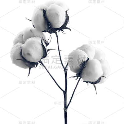 植物系列/装饰系列-暗黑-装饰贴纸元素-原创套系通用贴纸
