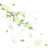 茉莉花海报