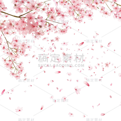 植物通用实景樱花花枝飘花瓣元素素材