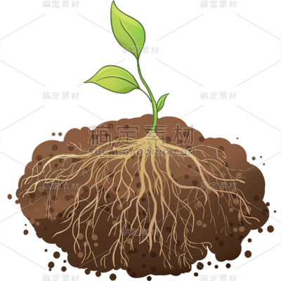 常规通用扁平植物生长贴纸元素素材