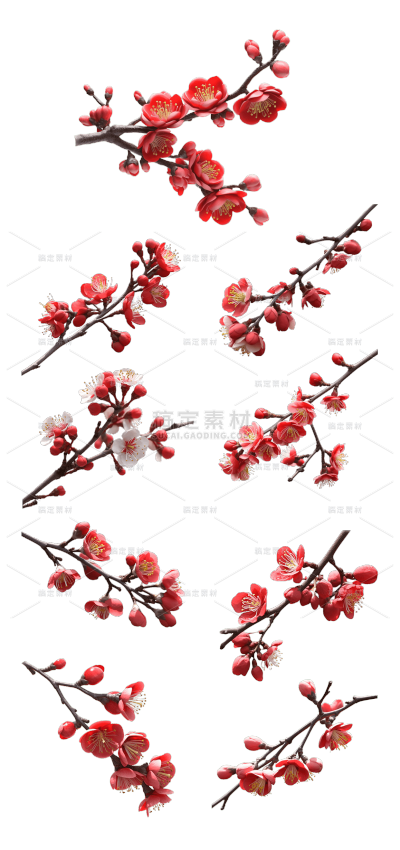 2309SC-素材组合-写实红色梅花花朵