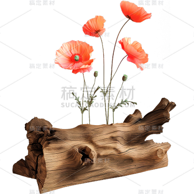 风光通用木头花朵元素素材