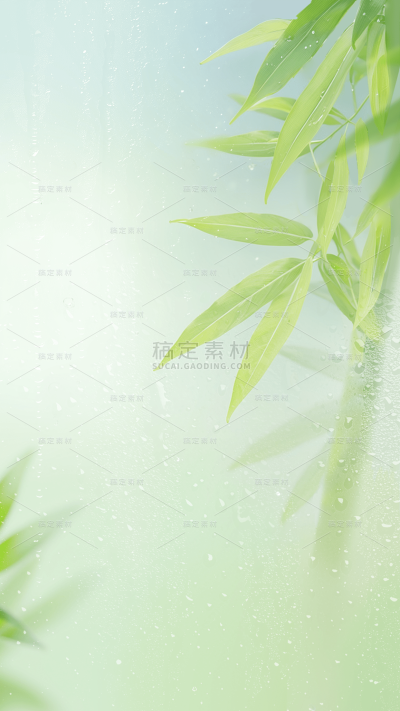 谷雨肌理感渐变竹叶雨水雾感背景