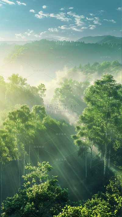 风光通有实景合成森林远景背景图片素材