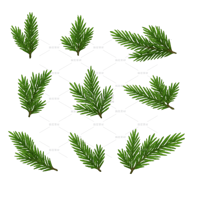 常规内容-植物系列卡通风树枝插画元素组合