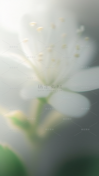 春天梦幻蒙版植物花卉背景元素素材