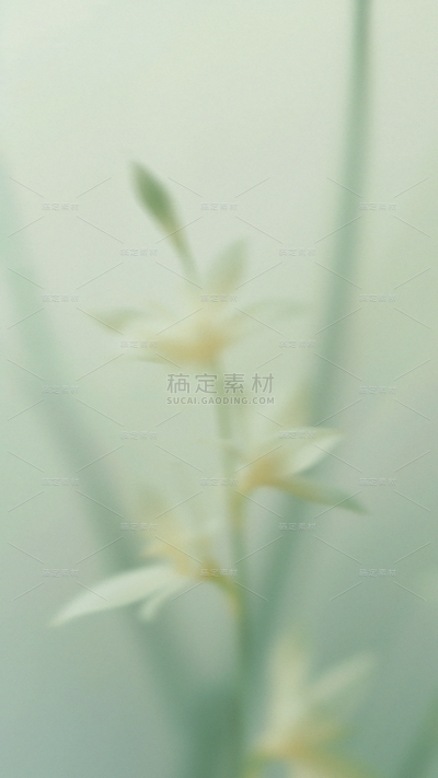 春天梦幻蒙版植物花卉背景元素素材